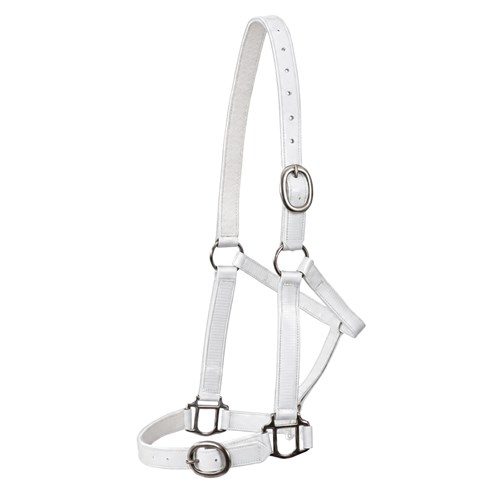 HSN5000F WH-02